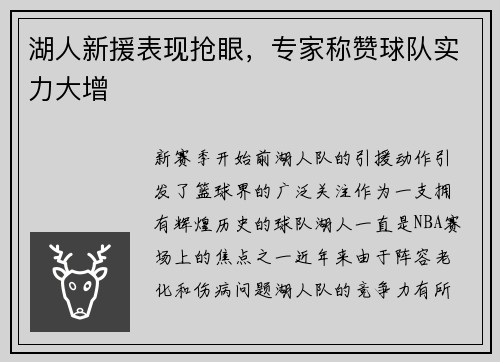 湖人新援表现抢眼，专家称赞球队实力大增